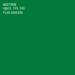 #037B38 - Fun Green Color Image